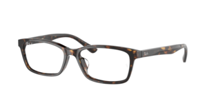Ray-Ban 0RX5318D 2012