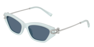 Tiffany & Co. 0TF4231U 843680
