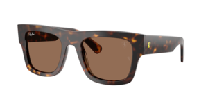 Ray-Ban 0RB2217M F61373