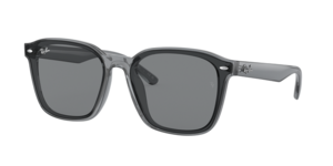 Ray-Ban 0RB4392D 645087