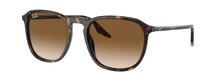 Ray-Ban 0RB2203 902/51