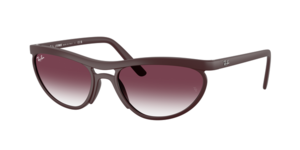 Ray-Ban 0RB4453 64458H