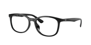 Ray-Ban 0RX7093D 2000