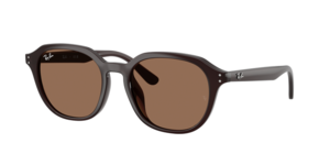 Ray-Ban 0RB4459D 623173