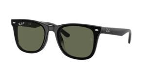 Ray-Ban 0RB4420 601/9A