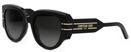 Dior R2I 10A1