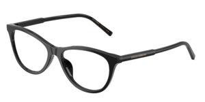 Dolce & Gabbana 0DG3443 501