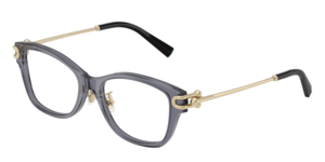 Tiffany & Co. 0TF2266F 8405
