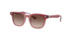 Ray-Ban 0RJ9098S 715413