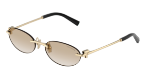 Tiffany & Co. 0TF3119D 623911