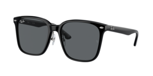 Ray-Ban 0RB2206D 901/87