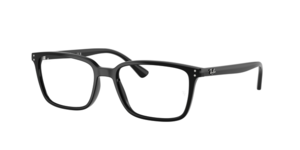 Ray-Ban 0RX7249I 2000
