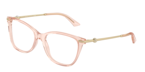 Jimmy Choo 0JC3007HB 5034