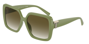 Tiffany & Co. 0TF4206U 83687Z