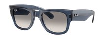 Ray-Ban 0RB0840S 684532
