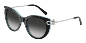Tiffany & Co. 0TF4232 80553C