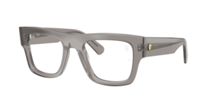 Ray-Ban 0RX5517M F704