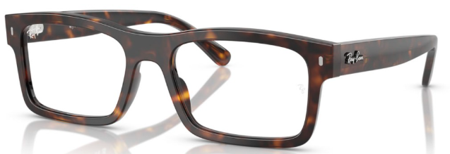 Ray-Ban 0RX5435 2012