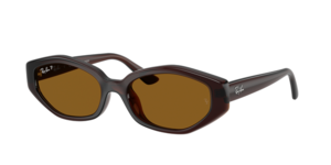 Ray-Ban 0RB4473D 714/83