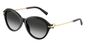 Tiffany & Co. 0TF4259 80013C