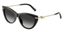 Tiffany & Co. 0TF4253F 80013C