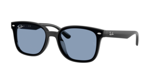 Ray-Ban 0RB4461D 601/80