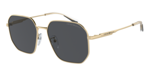 Emporio Armani 0EA2154D 301387
