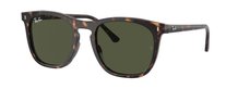 Ray-Ban 0RB2210 902/31