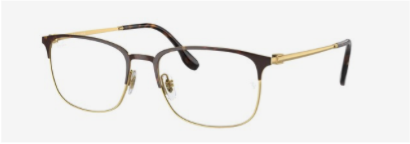 Ray-Ban 0RX5446 2000