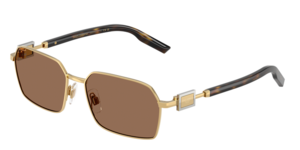 Dolce & Gabbana 0DG2316 02/73