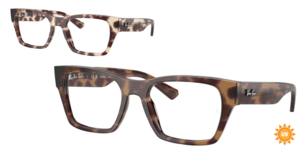 Ray-Ban 0RX5448 8460