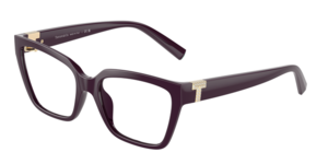 Tiffany & Co. 0TF2257BU 8427