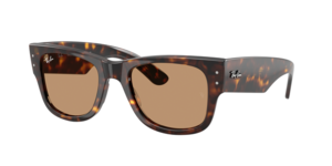 Ray-Ban 0RB0840S 902/53