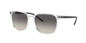Ray-Ban 0RB4387 647711