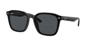 Ray-Ban 0RB4392D 601/87