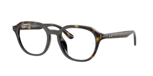 Ray-Ban 0RX7259D 2012