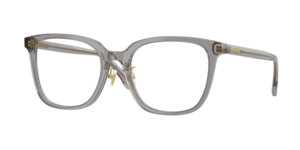 Versace 0VE3378D 5510