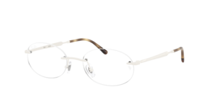 Ray-Ban 0RX3767V 3205