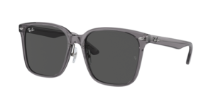 Ray-Ban 0RB2206D 139987