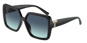 Tiffany & Co. 0TF4206U 80019S