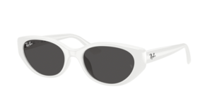 Ray-Ban 0RB4457D 677287