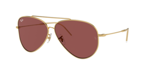 Ray-Ban 0RBR0101S 001/69