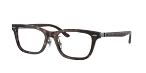 Ray-Ban 0RX5426D 8287