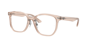 Ray-Ban 0RX5425D 8267