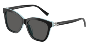 Tiffany & Co. 0TF4241D 8055S4