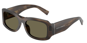 Dolce & Gabbana 0DG4503 3200/3