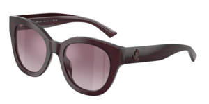 Jimmy Choo 0JC5053F 50866X