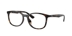 Ray-Ban 0RX7093D 2012