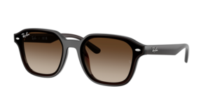 Ray-Ban 0RB4458D 714/13