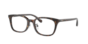 Ray-Ban 0RX5407D 2012